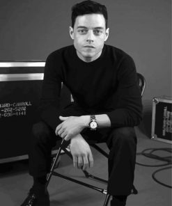 Black And White Rami Malek Paint By Numbers