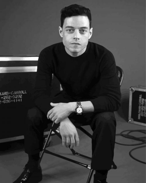 Black And White Rami Malek Paint By Numbers