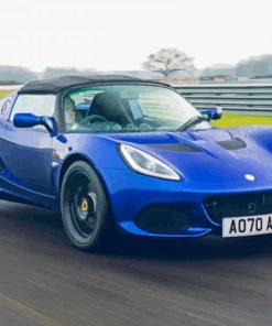 Blue Lotus Elise Paint By Numbers