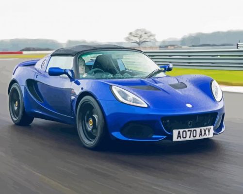 Blue Lotus Elise Paint By Numbers