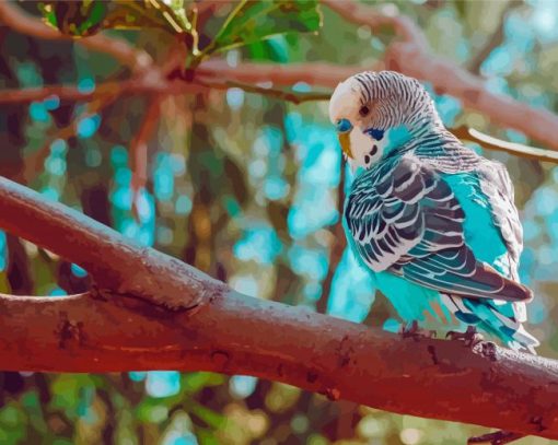 Blue Parakeet On Branch Paint By Numbers