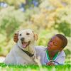 Boy And Labrador Retriever Sleeping On Grass Paint By Numbers