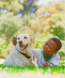 Boy And Labrador Retriever Sleeping On Grass Paint By Numbers