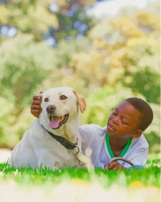 Boy And Labrador Retriever Sleeping On Grass Paint By Numbers