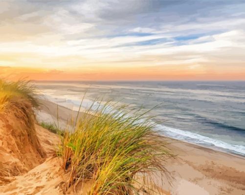 Cape Cod Beach Massachusetts Paint By Numbers