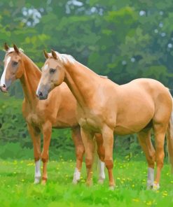 Cool Palomino Horses Paint By Numbers