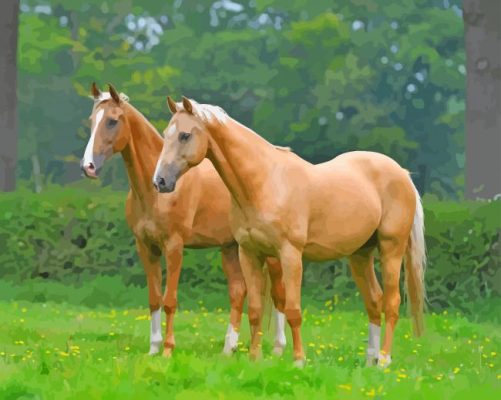 Cool Palomino Horses Paint By Numbers