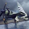 Cute Sea Fury Paint By Numbers