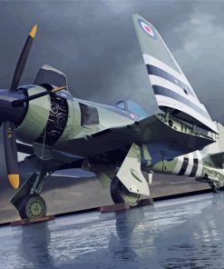 Cute Sea Fury Paint By Numbers