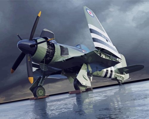 Cute Sea Fury Paint By Numbers