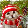 Cute Xmas Cat Paint By Numbers