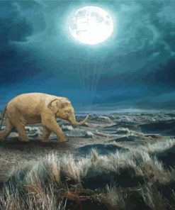 Elephant Moon Paint By Numbers