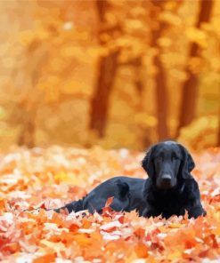 Flat Coated Retriever Fall Leaves Paint By Numbers