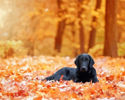 Flat Coated Retriever Fall Leaves Paint By Numbers