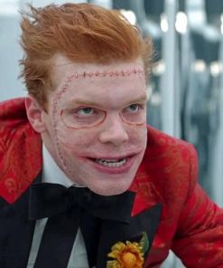 Jerome Valeska Tv Character Paint By Numbers