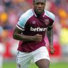 Michail Antonio Paint By Numbers