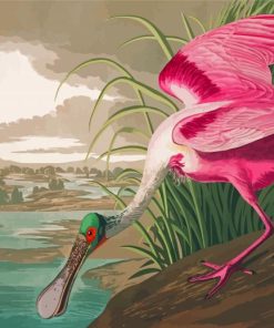 Pink Audubon Bird Paint By Numbers