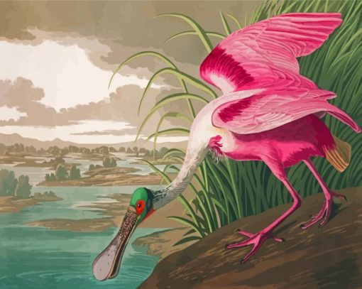 Pink Audubon Bird Paint By Numbers