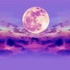 Purple Sky And Moon Paint By Numbers