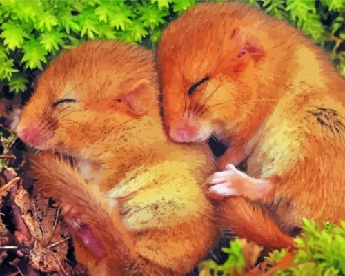 Sleepy Dormouse Paint By Numbers