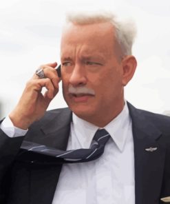 Sully Miracle On The Hudson Tom Hanks Paint By Numbers