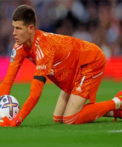 The Goalkeeper Illan Meslier Paint By Numbers