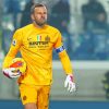 The Goalkeeper Samir Handanovic Paint By Numbers