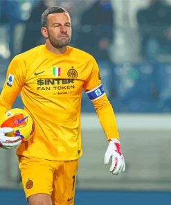 The Goalkeeper Samir Handanovic Paint By Numbers