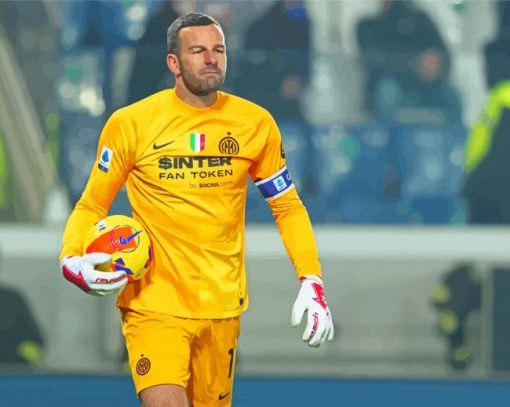 The Goalkeeper Samir Handanovic Paint By Numbers