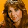 The Actress Jan Smithers Paint By Numbers