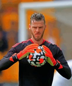 the-Spanish Goalkeeper David De Gea Paint By Numbers