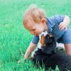 Toddler With Black Puppy Paint By Numbers