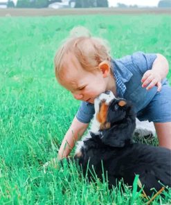 Toddler With Black Puppy Paint By Numbers