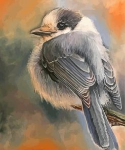 Whiskey Jack Bird Art Paint By Numbers