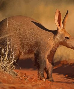 Aardvark Paint By Numbers