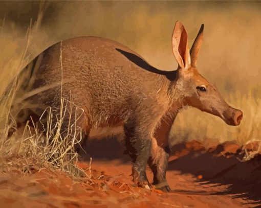 Aardvark Paint By Numbers