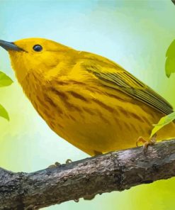 American Yellow Warbler On Tree Branch Paint By Numbers