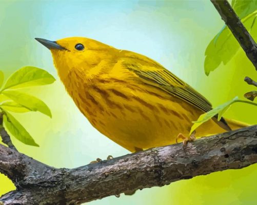 American Yellow Warbler On Tree Branch Paint By Numbers