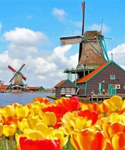 Amsterdam Zaanse Schans Tulips Paint By Numbers