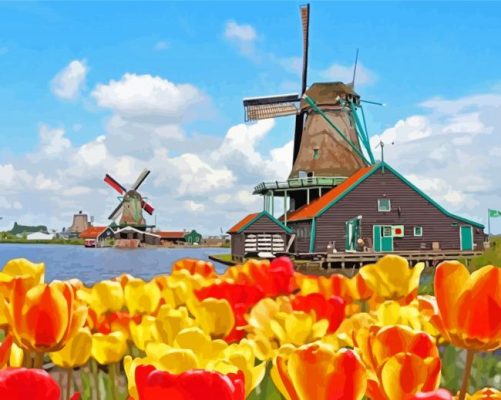 Amsterdam Zaanse Schans Tulips Paint By Numbers