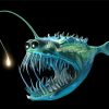 Anglerfish Paint By Numbers