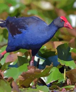 Australasian Swamphen Paint By Numbers