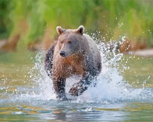 Bear Animal Running In Water Paint By Numbers