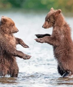 Bear Cubs In Water Paint By Numbers