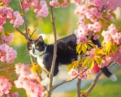 Black And White Cat In Cherry Tree Paint By Numbers