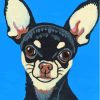 Black Chihuahua Paint By Numbers