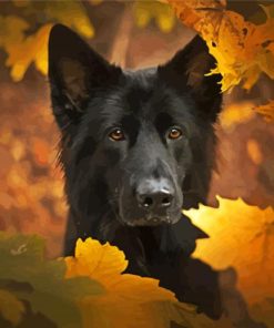 Black German Shepherd Paint By Numbers