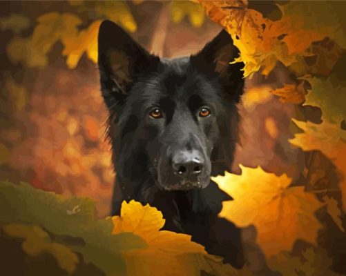 Black German Shepherd Paint By Numbers