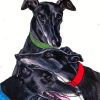 Black Greyhounds Dogs Paint By Numbers