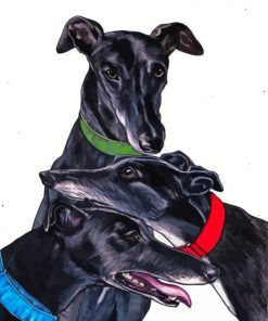 Black Greyhounds Dogs Paint By Numbers